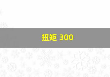 扭矩 300